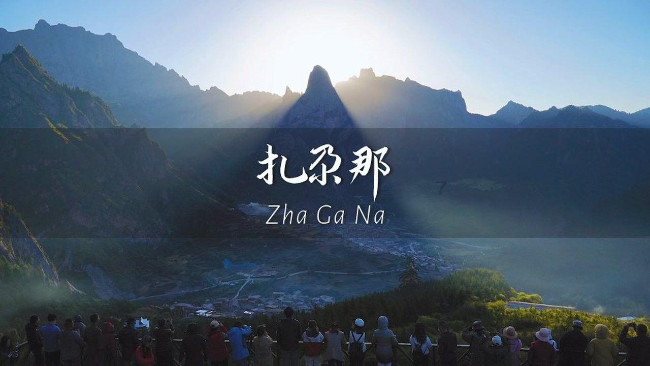 网络诈骗可以报警吗?-专业有问必答平台